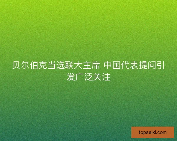 贝尔伯克当选联大主席 中国代表提问引发广泛关注